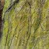 Плитка из мрамора Bidasar Green (Forest Green (Antique)) 305х305х10