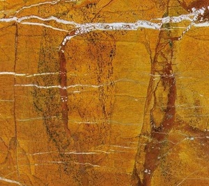 Плитка из мрамора Бидасар Голд (Bidasar Golden (Forest Gold) 600х600х20